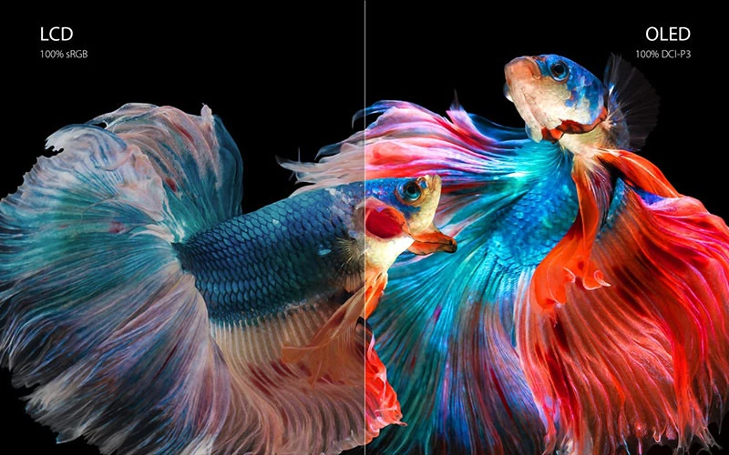 Écran 3K OLED 120 Hz du ASUS ROG Zephyrus G14